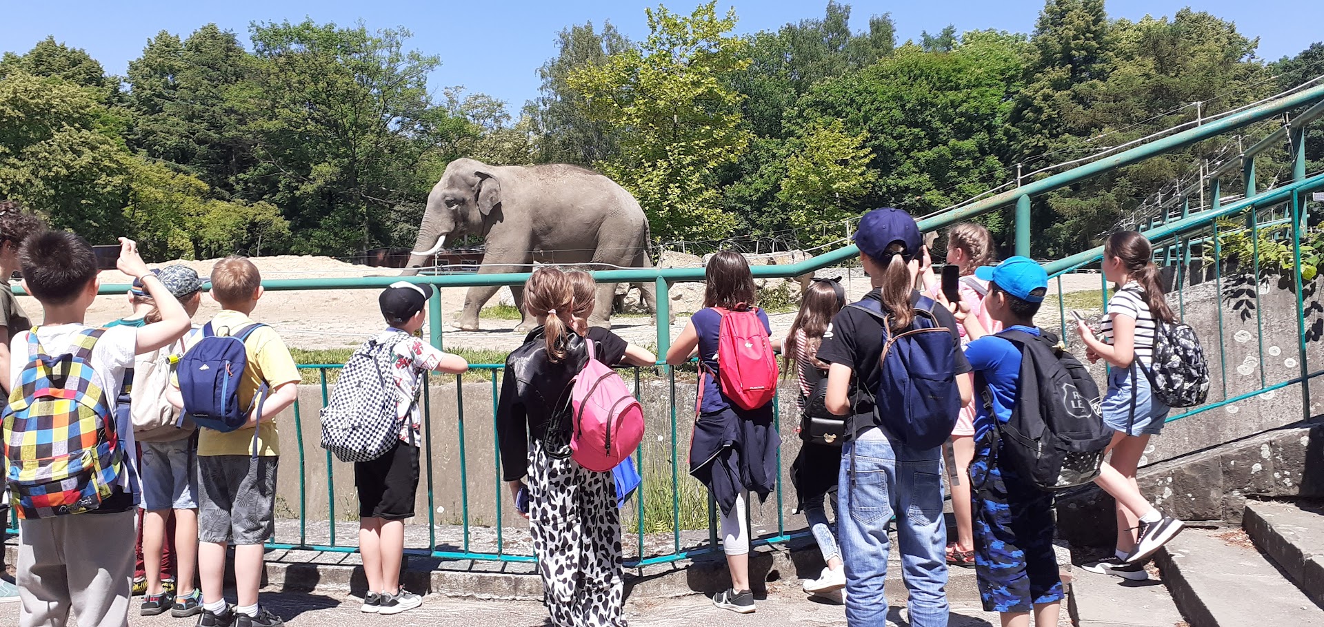 Wiosenne wyjścia klasy 3c