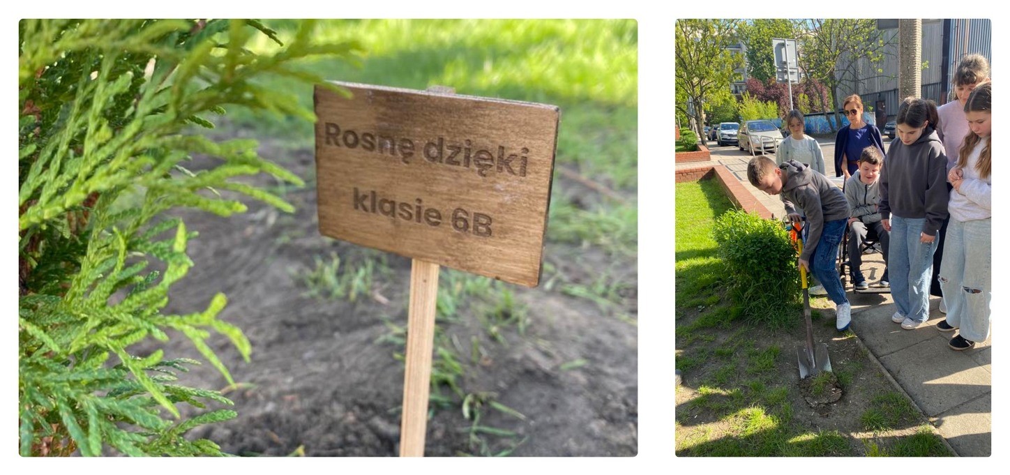 Akcja „Sadzonka” oraz podsumowanie gry terenowej